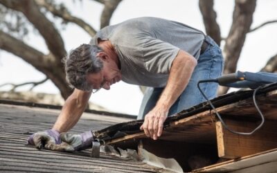 Roof Maintenance Tips for new Home Buyers