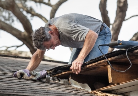 Roof Maintenance Tips for new Home Buyers