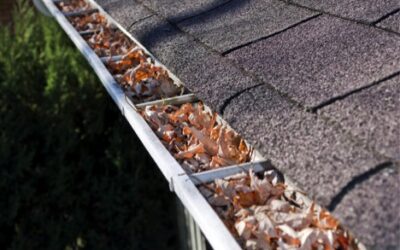 Why Are Gutter Cleaning Services Important?