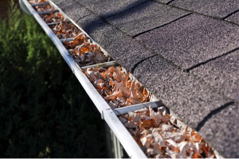 Why Are Gutter Cleaning Services Important?