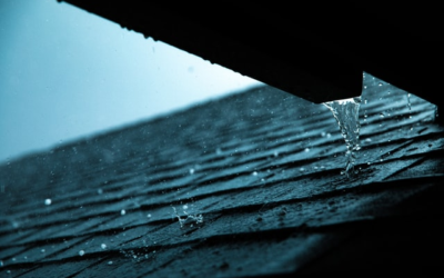Roof Repairing or Roof Installation: Which Should You Go For?
