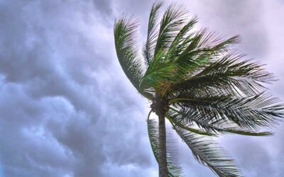 Preventative Roofing Tips for New Homeowners Moving to Storm-Prone Areas