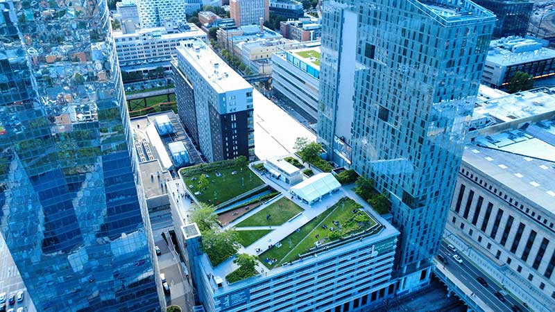 high-rise buildings, green rooftop on a large construction, glass, dense city